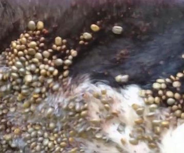 ��湷����ͼƬ ��������������˼��׼����