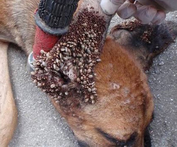 ��湷����ͼƬ ��������������˼��׼����