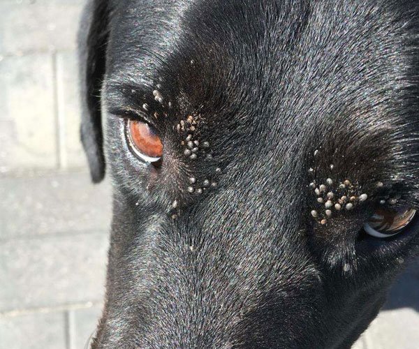 ��湷����ͼƬ ��������������˼��׼����