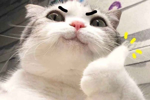 ��������ִ�С˵ ȫ��������ʵ��û��ô����