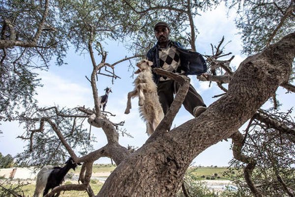 ����������ʲô��˼ �����������Ǿ����˶���Ű��