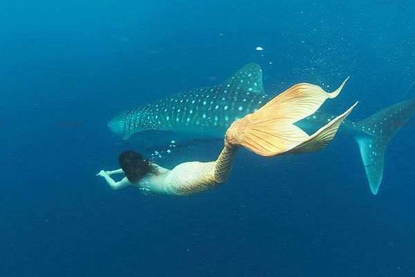 1962�������ͼƬ ��ʵ���ǰѻ�������û�ԭ����Ŀǰ��