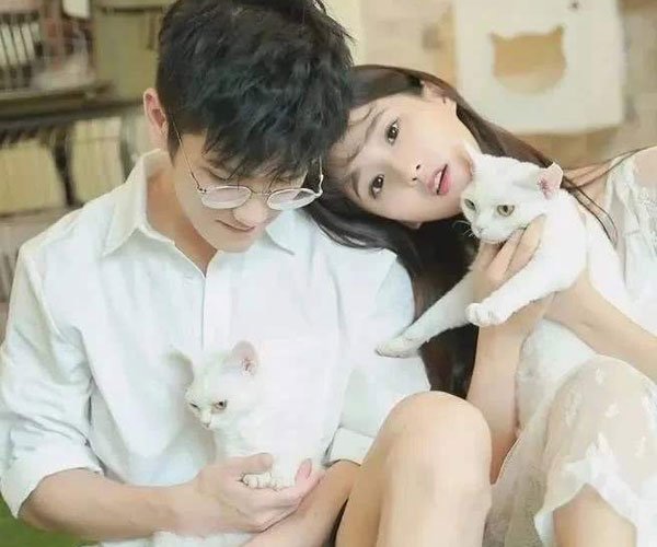 �����غ���������ɴ�� ��ʱ���ط��ӳɻ�