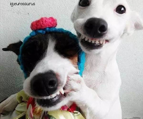 莲蓬乳,空空指,微笑狗,牙膏脸是什么 造成视觉上的不适感