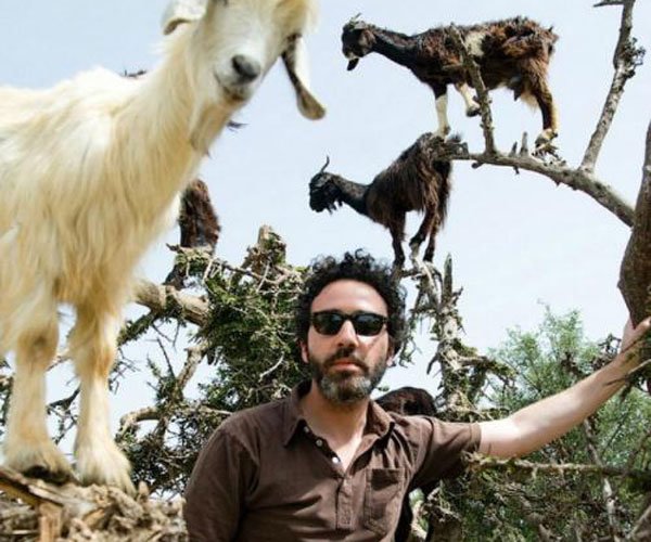 ���������淨��ĺ�ʹ���� ��������ɶ��˼