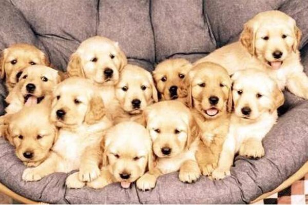 ��湷���������Ƭ ��ʬ�������ãã