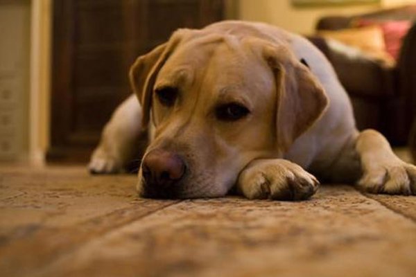 ��湷���������Ƭ ��ʬ�������ãã