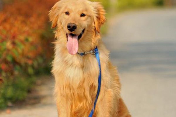 ��湷���������Ƭ ��ʬ�������ãã