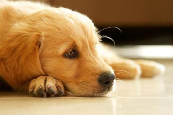 ��湷���������Ƭ ��ʬ�������ãã