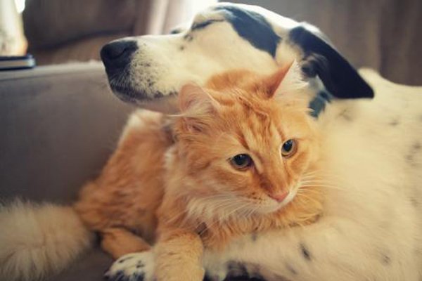 ��湷���������Ƭ ��ʬ�������ãã