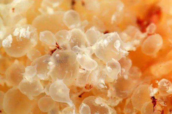 ����̥������ͼƬ ��һ�������п��ܷ����������