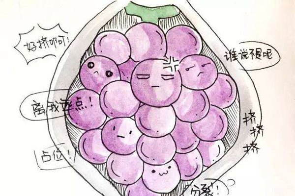 ����̥�ǰ�֢�� �������ֲ�����û�������Ŀ���