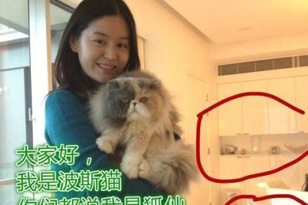 ��ѩ�����¼� Ī���������ʧԽ��Խ����