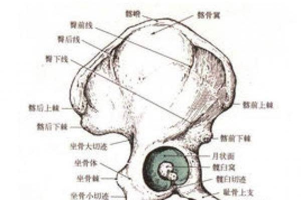 �Ҳ��̶õľ��˹���ʲô��˼ ʲô����»�������˹�