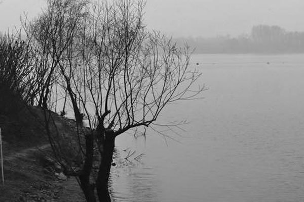 ��ɫ������ԭ��47���� �����������˶�����ʲô����