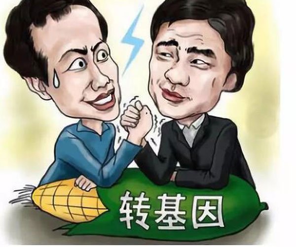 ��������ʲô������ һ���캦���Լ�