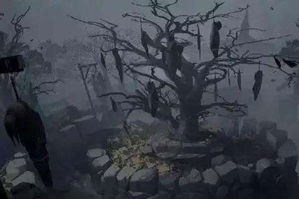 �������������� ��ֲ�����ʵ�Ǹ�������Ĺ���