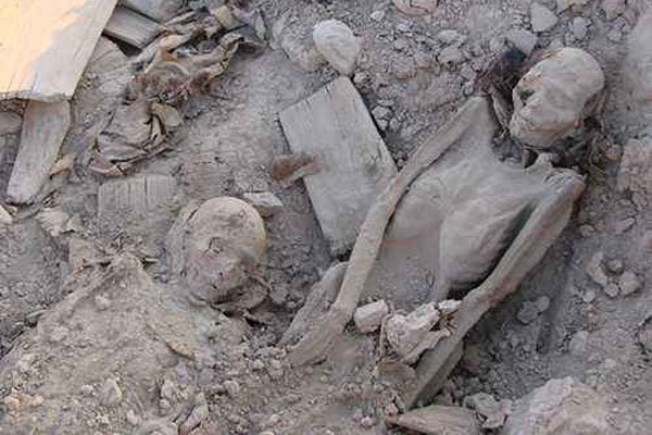 �޲������й�ʲô�ط� �޲��������������¼�