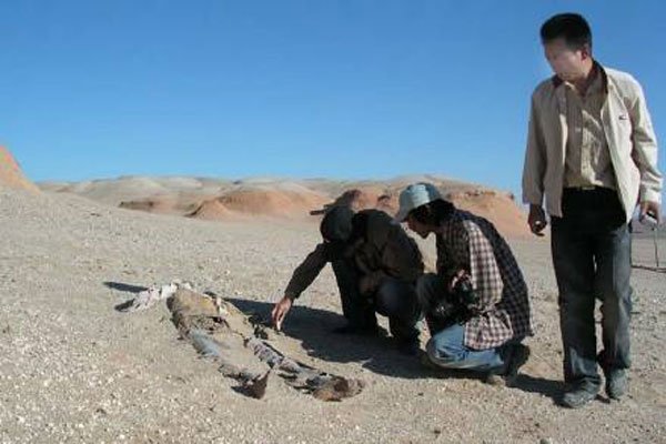 �޲������й�ʲô�ط� �޲��������������¼�