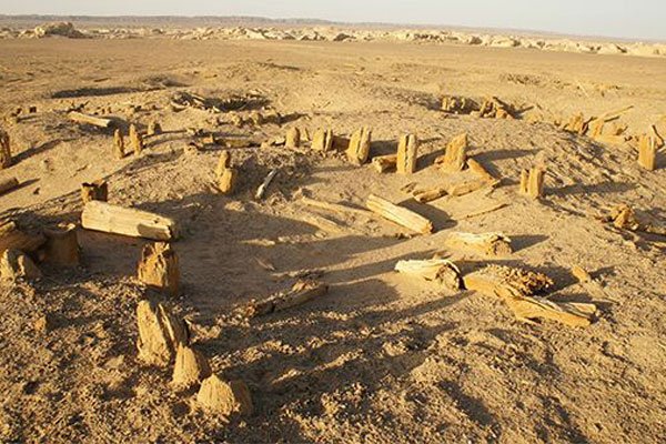 �޲������й�ʲô�ط� �޲��������������¼�