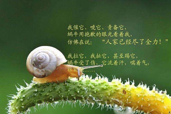 ��ţ����ʲô��˼ ������������������Ҳ�����ɰ�