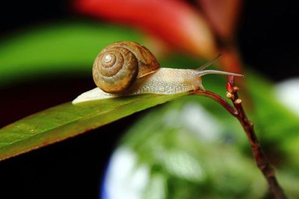 ��ţ����ʲô��˼ ������������������Ҳ�����ɰ�