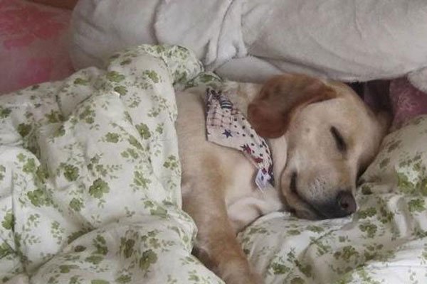 ��ţ����ʲô��˼ ������������������Ҳ�����ɰ�