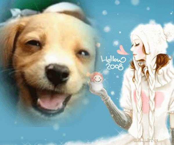 ΢Ц�����붯̬ԭͼ ��С��������溦��è