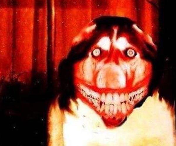 ΢Ц�����붯̬ԭͼ ��С��������溦��è