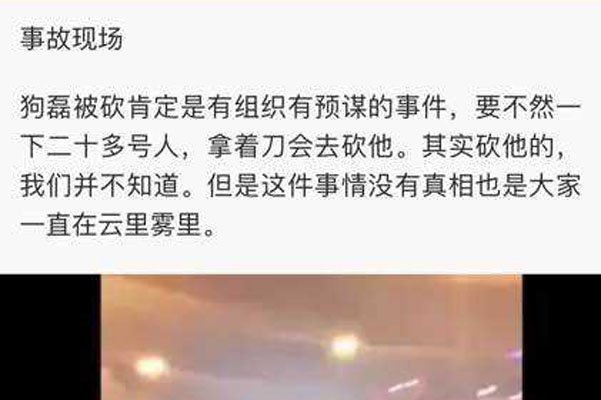 石家庄狗磊被判刑几年 网络环境要净化他们肯定要被开刀