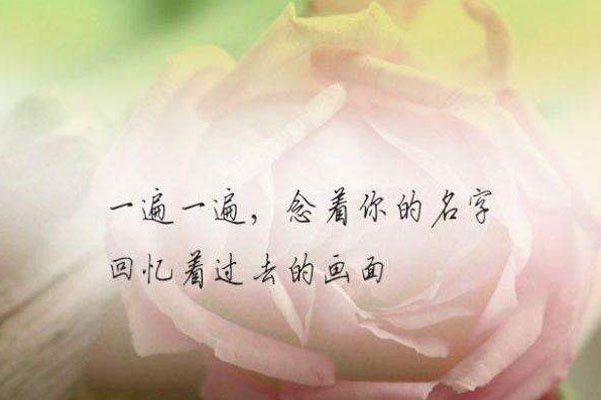 ��ҵ�޵����ľ��� һ�����뿪�˾��������ķ���