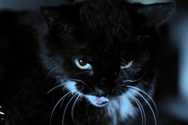 è����̫̫����ʵ���� ������ʮ�������¼�֮һ