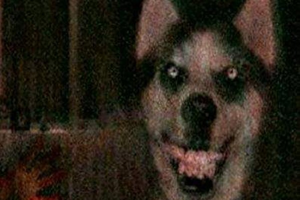 ΢Ц��ͼƬ���˻����� ����֮���ʾ������