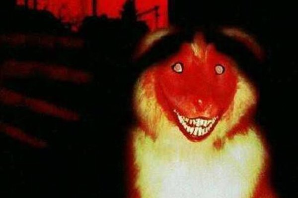 ΢Ц��ͼƬ���˻����� ����֮���ʾ������