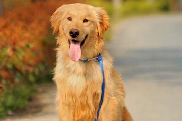 ΢Ц��ͼƬ���˻����� ����֮���ʾ������