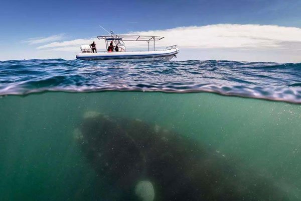 ��־�֢�ռ�����ͼ �ĵ׿־�ʱ����ںں��ľ���