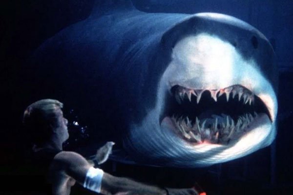 ��־�֢�ռ�����ͼ �ĵ׿־�ʱ����ںں��ľ���