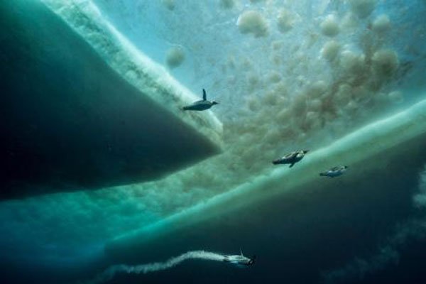 ��־�֢�ռ�����ͼ �ĵ׿־�ʱ����ںں��ľ���