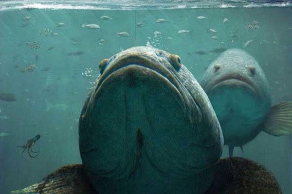 ��־�֢�ռ�����ͼ �ĵ׿־�ʱ����ںں��ľ���