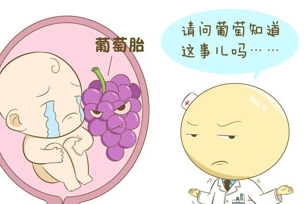 ����̥��ʲô ��ɱ��̥����ô��ô����