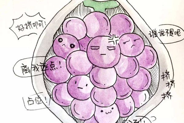 ����̥��ʲô ��ɱ��̥����ô��ô����