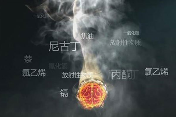 ���̺�����������Ӧ ��ʹ����ȫ�Ǿ������������