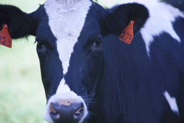 ˦���費������ ����ɱ�˶���������ô��������