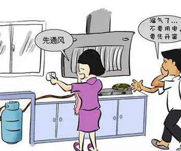 ������ͥ�������� ����ʽ���ɽ���ʲô