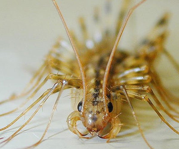 ��ɽ��������ж�� ����̫ǿ��һ����Ҫ������