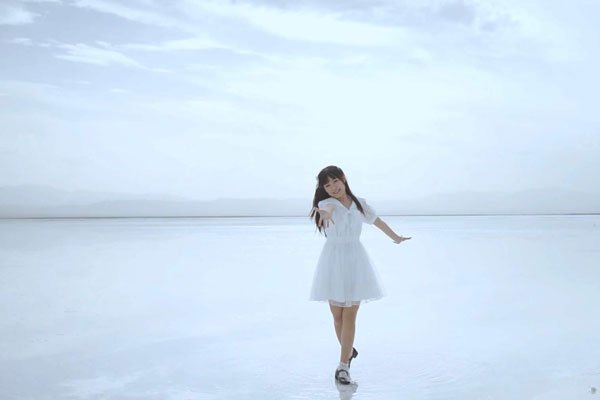 ��ž���ʦ310��ϵ �����Ƭ����齨��ͥ��