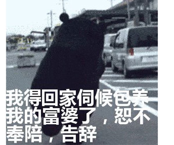 ���������ŵĸ��� �����ܱ�����������