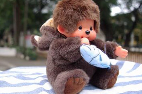 ��������ʲô��˼ �����ձ�������ë������