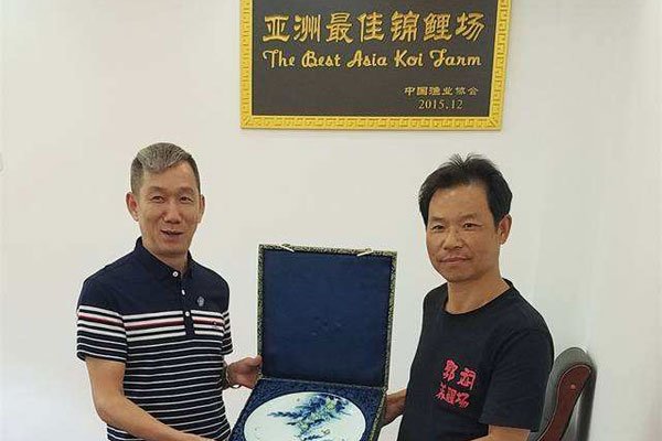 郭斌锦鲤到底好不好 业界锦鲤大王有什么养鲤经