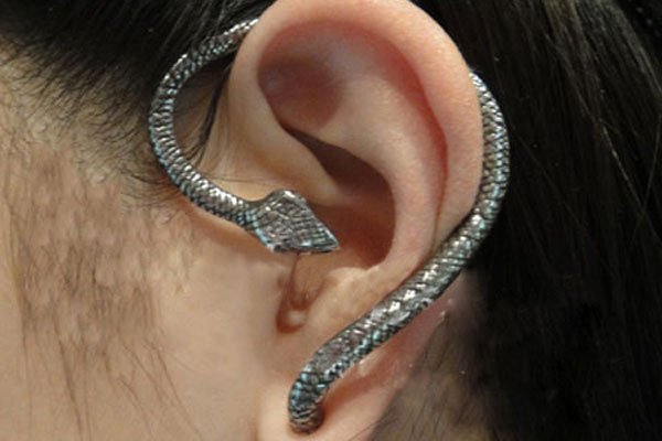 香蛇是什么蛇图片 这样用蛇(shé)制作的耳环你会戴吗